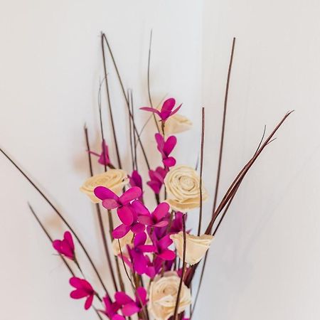Ana Apartment ซัฟทัท ภายนอก รูปภาพ