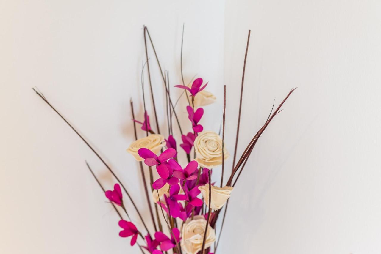 Ana Apartment ซัฟทัท ภายนอก รูปภาพ